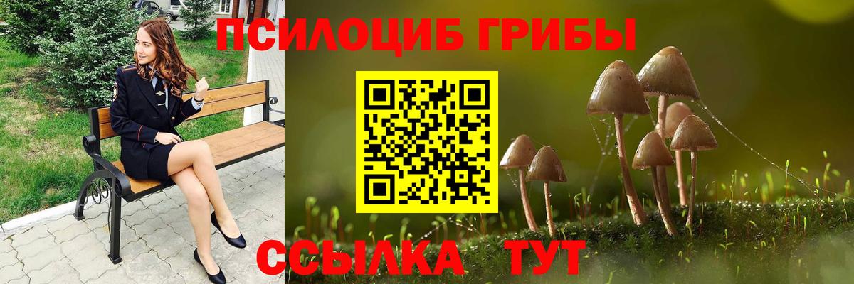 Апшеронск  Галлюциногенные грибы Psilocybe  Вход с VPN 